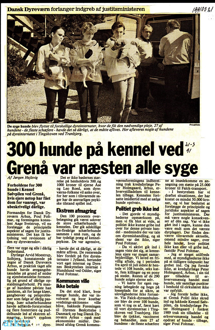 arkiv.dk | 300 hunde på kennel ved Grenå var næsten syge. 1991.