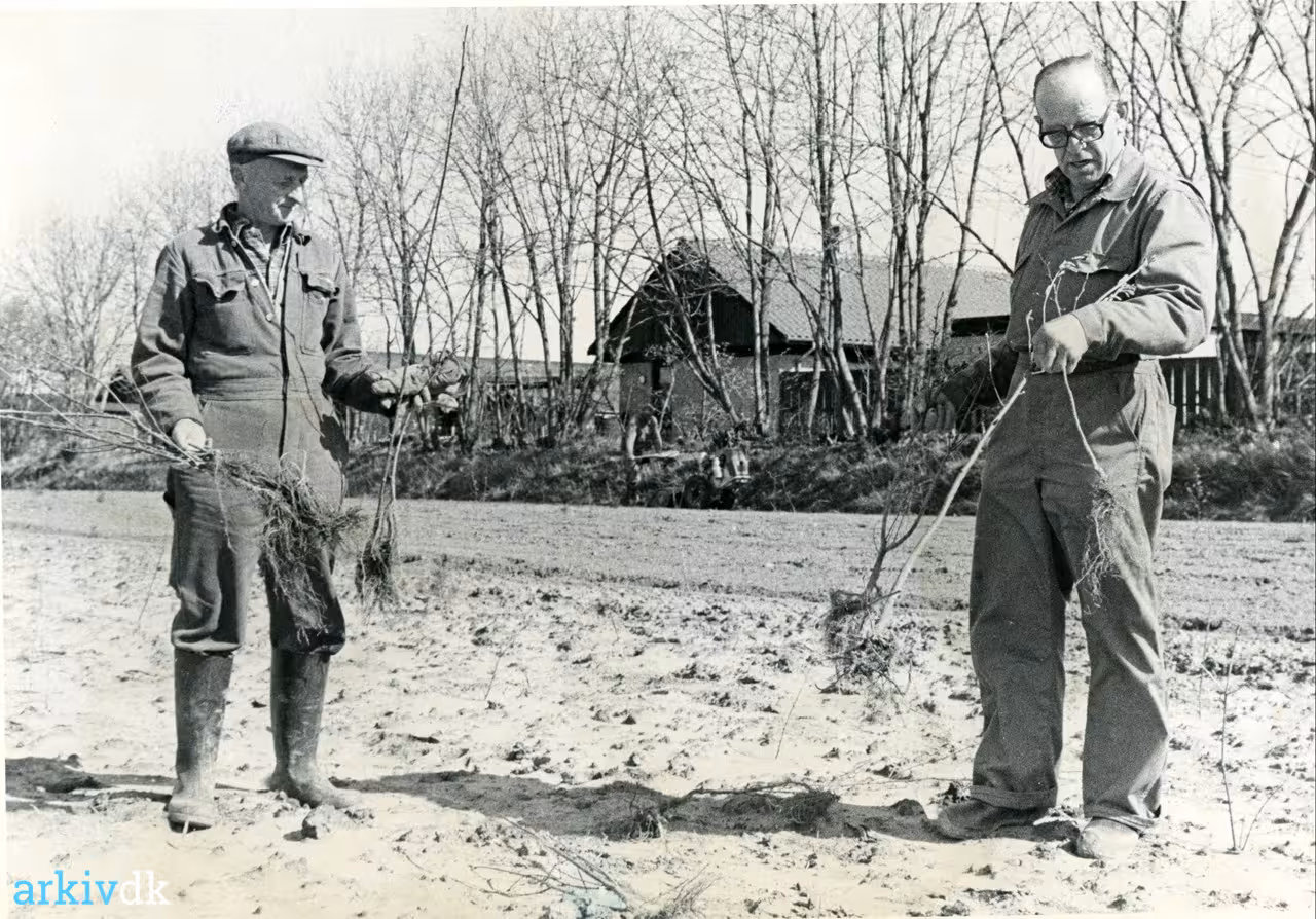 arkiv.dk | Kommunegartner Hans Even Rasmussen, Frichsvej 6, Galten og t ...