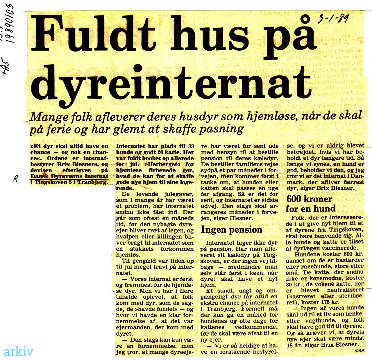 Necessities præmedicinering vagabond arkiv.dk | Fuldt hus på dyreinternat. 1989. Mange folk afleverer deres  husdyr som hjemløse, når de skal på ferie og har glemt at skaffe pasning.