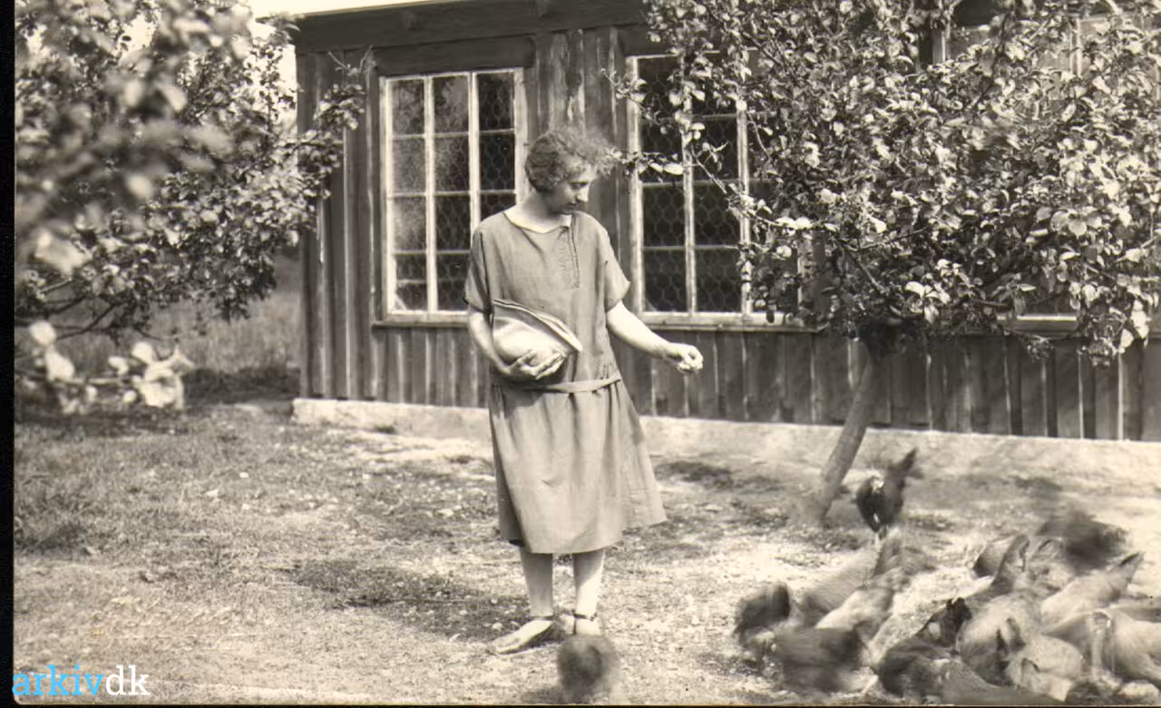 arkiv.dk Sigrid Jensen, Skovvang fodrer hønsene.