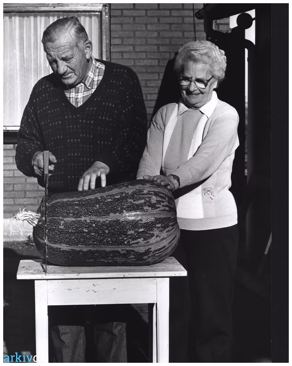 Søgning i forespørgsel i sidepanelet