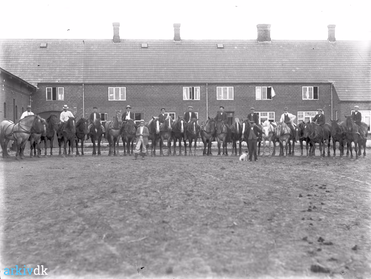 Arkiv dk Hesteholdet P Lille Grundet Avlsg rd 1911
