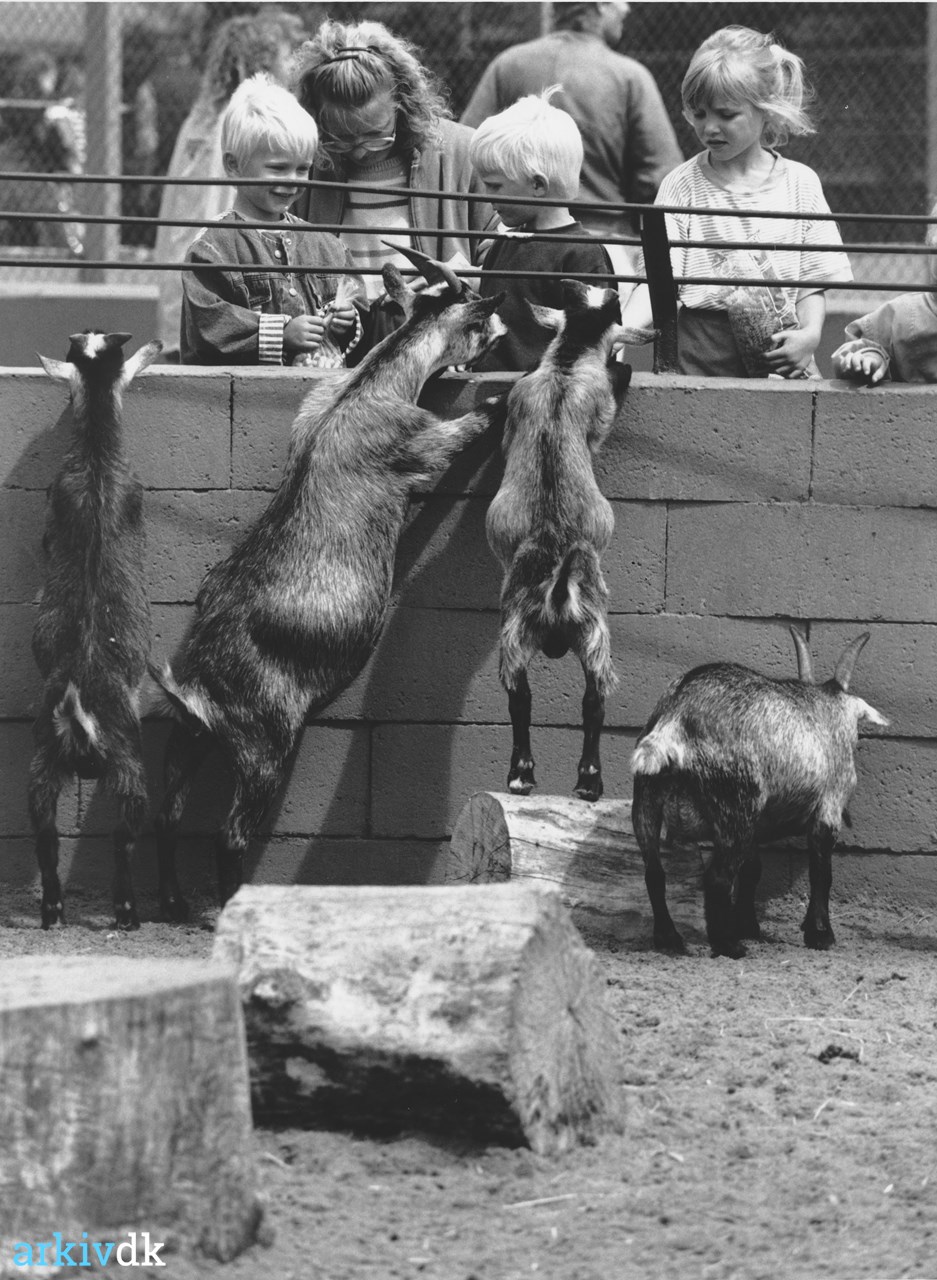 arkiv.dk | Jyllands Park Zoo - (Jyllands Mini Zoo), Haunstrupvej 13