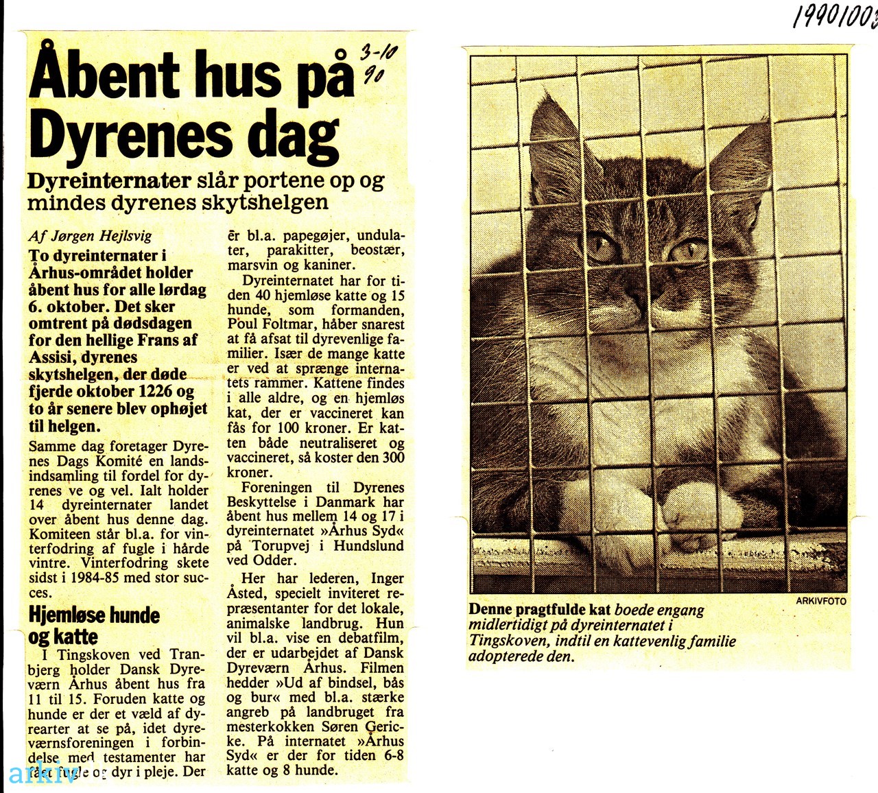 To grader Når som helst sektor arkiv.dk | Åbent hus på "Dyrenes dag" 1990. Dyreinternater slår portene op  og mindes dyrenes skytshelgen