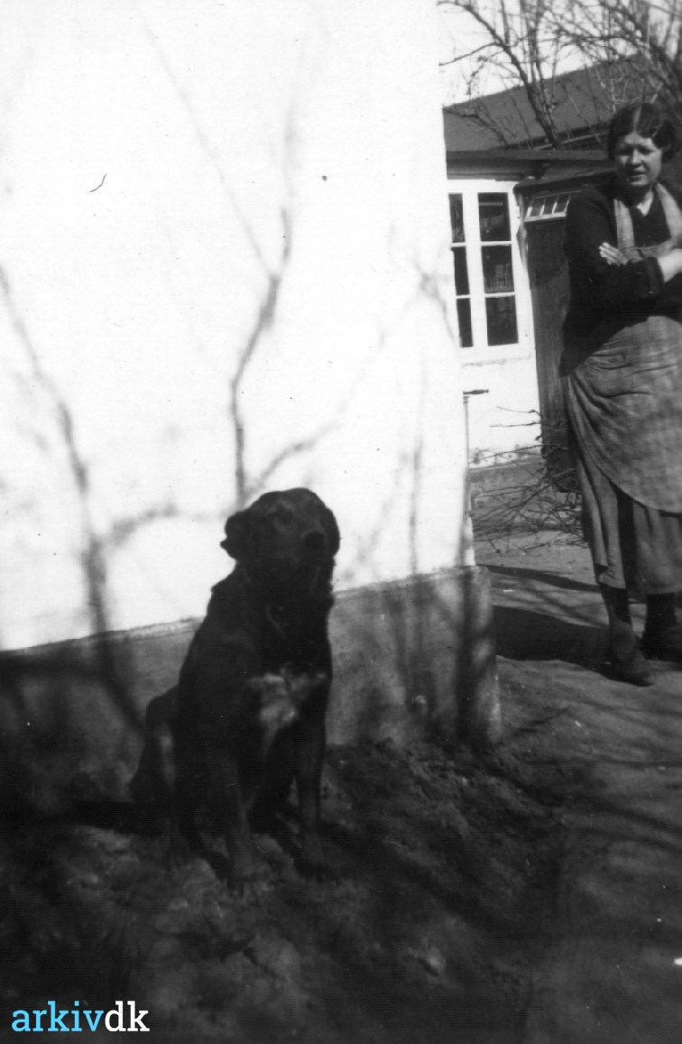 Skrive ud bibliotekar Eksamensbevis arkiv.dk | Kvinde med hund i haven Køgevej 135 Ukendt kvinde, familie til  Bodil Metha Thielfoldt