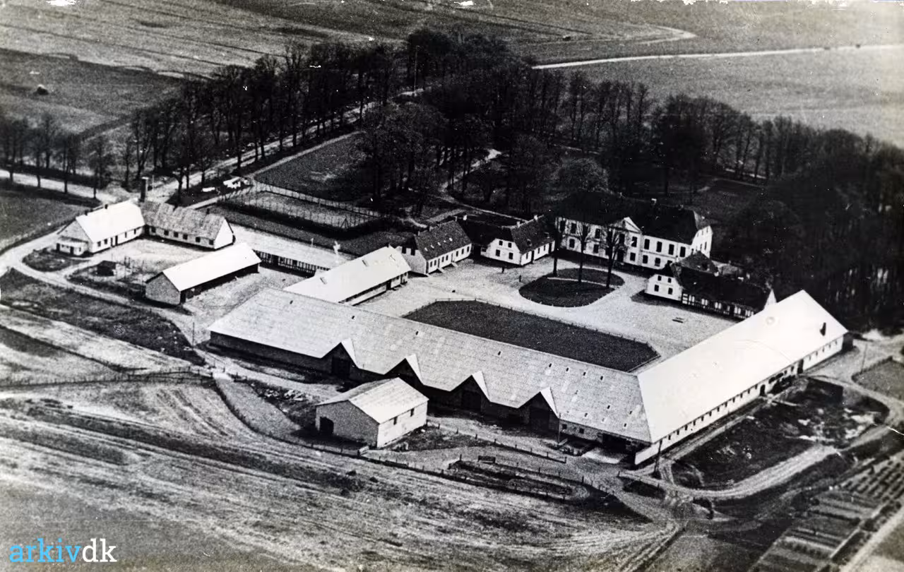 Arkiv dk Luftfoto Af Store Grundet Vejle 1950 55